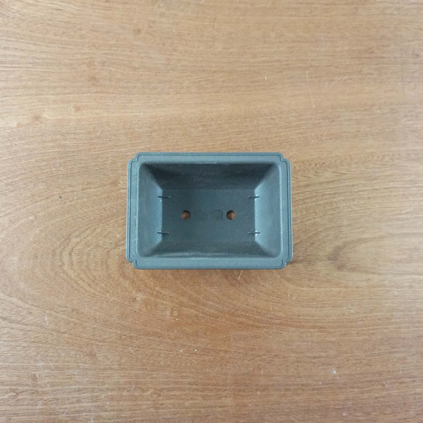 Bonsai trainingspot '17,5cm'