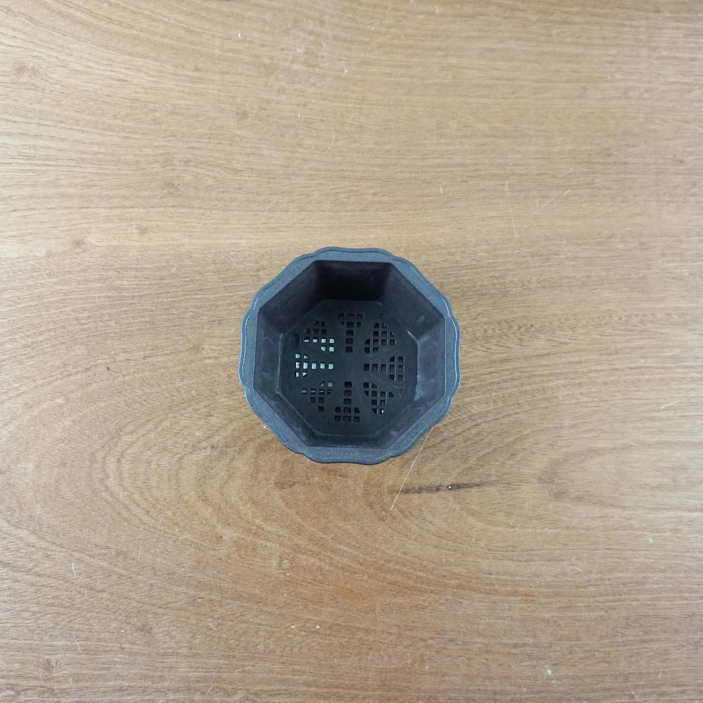 Bonsai trainingspot '15,0cm'