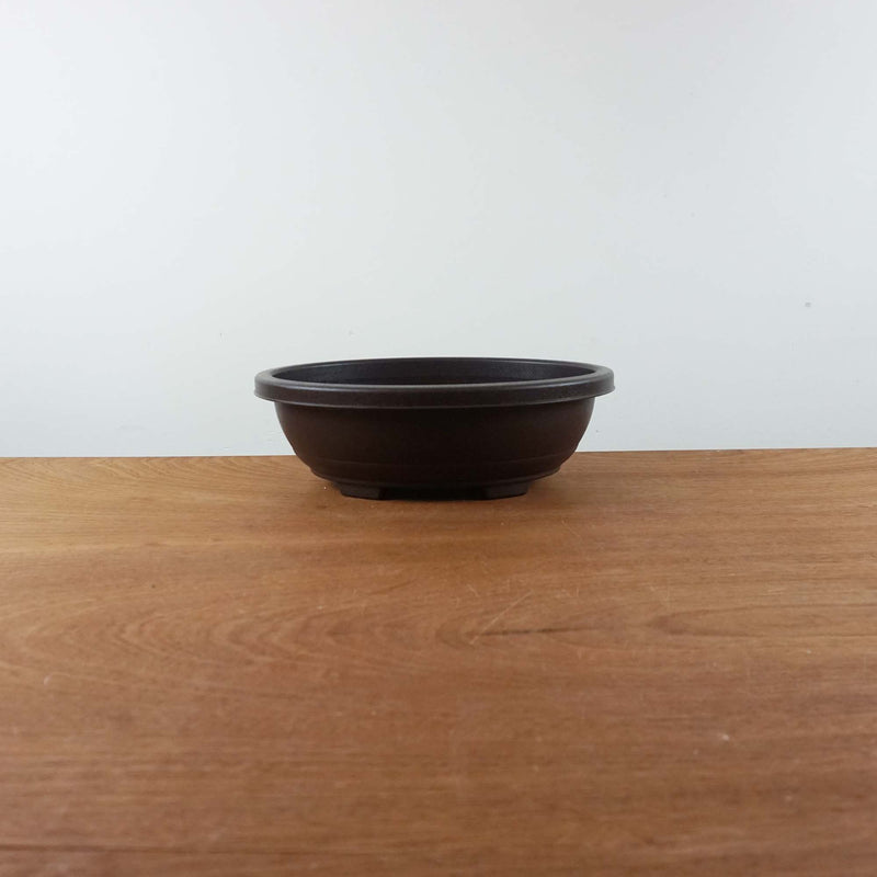 Bonsai trainingspot '36,0cm'